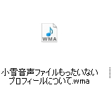 小雪音声ファイルもったいないプロフィール